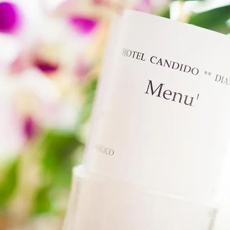 坎迪多酒店 酒店 迪亚诺马里纳