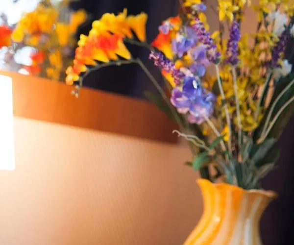 Hotel Candido Diano Marina