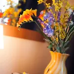 Hotel Candido Diano Marina
