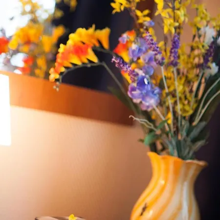 Hotel Candido Diano Marina