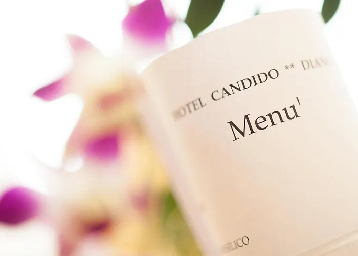 Candido Hotel Diano Marina